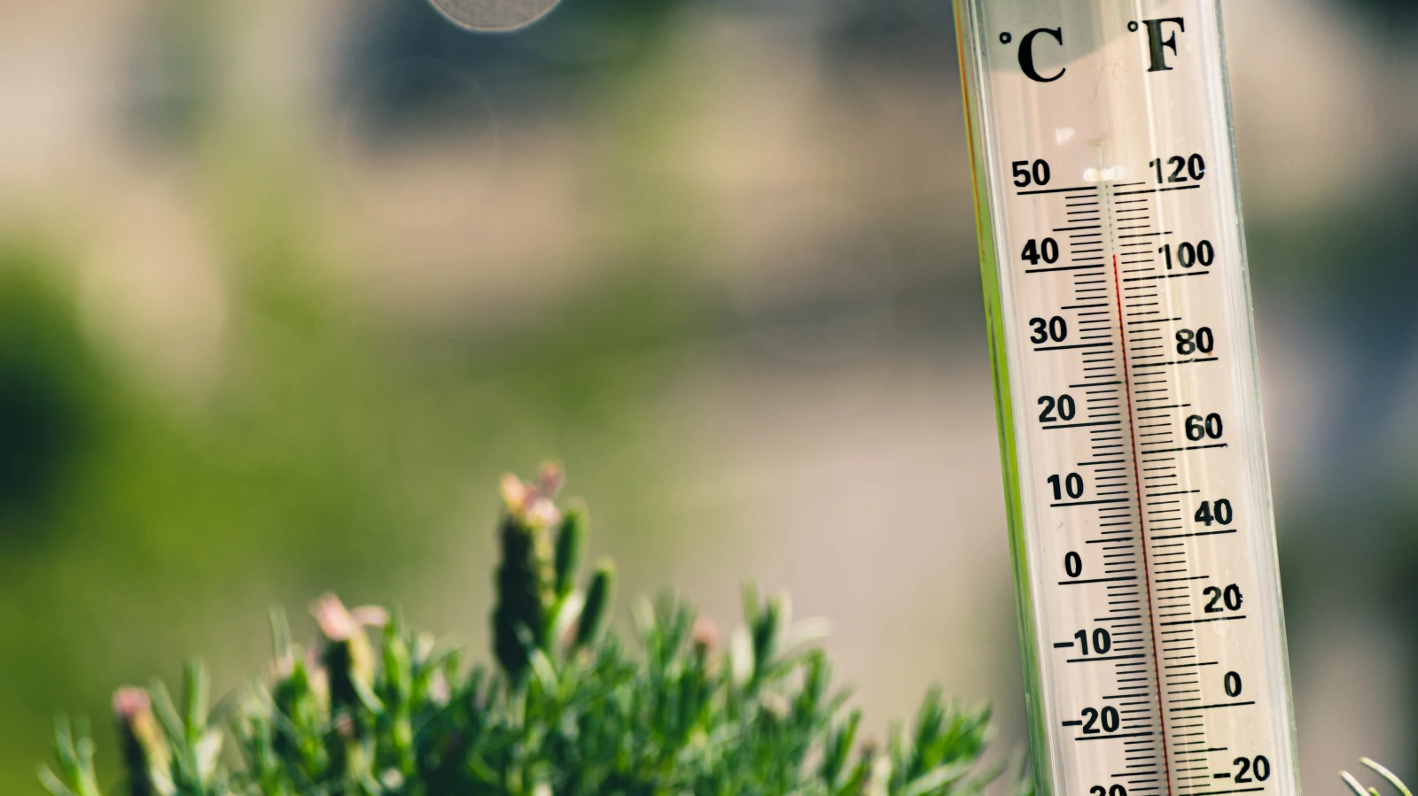 Daten von sechs Klimadiensten bestätigen: 2023 war wärmstes Jahr, © Unsplash / Jaroslaw Kwoczala Daten von sechs Klimadiensten bestätigen: 2023 war wärmstes Jahr, © Unsplash / Jaroslaw Kwoczala