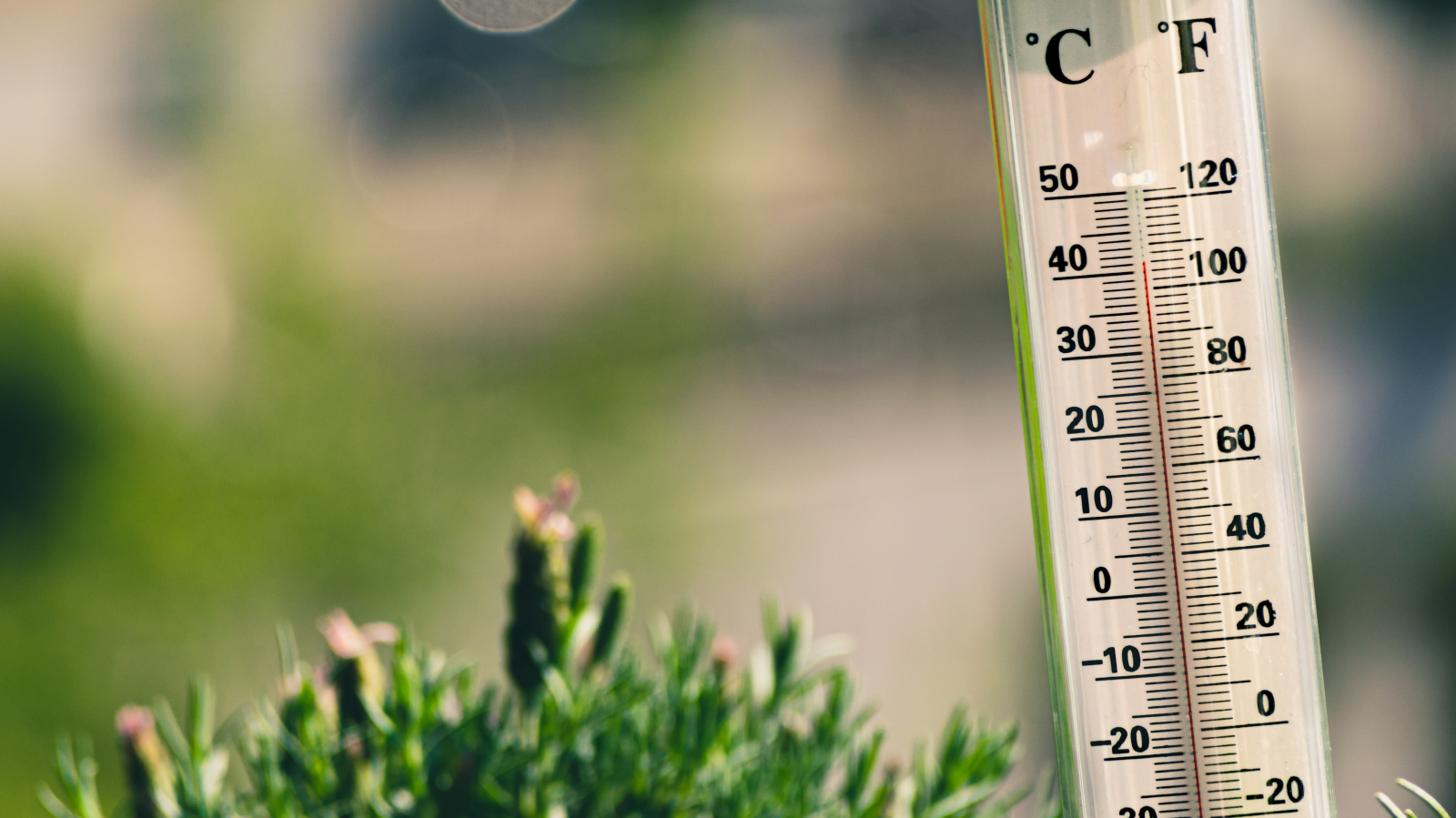 Daten von sechs Klimadiensten bestätigen: 2023 war wärmstes Jahr, © Unsplash / Jaroslaw Kwoczala