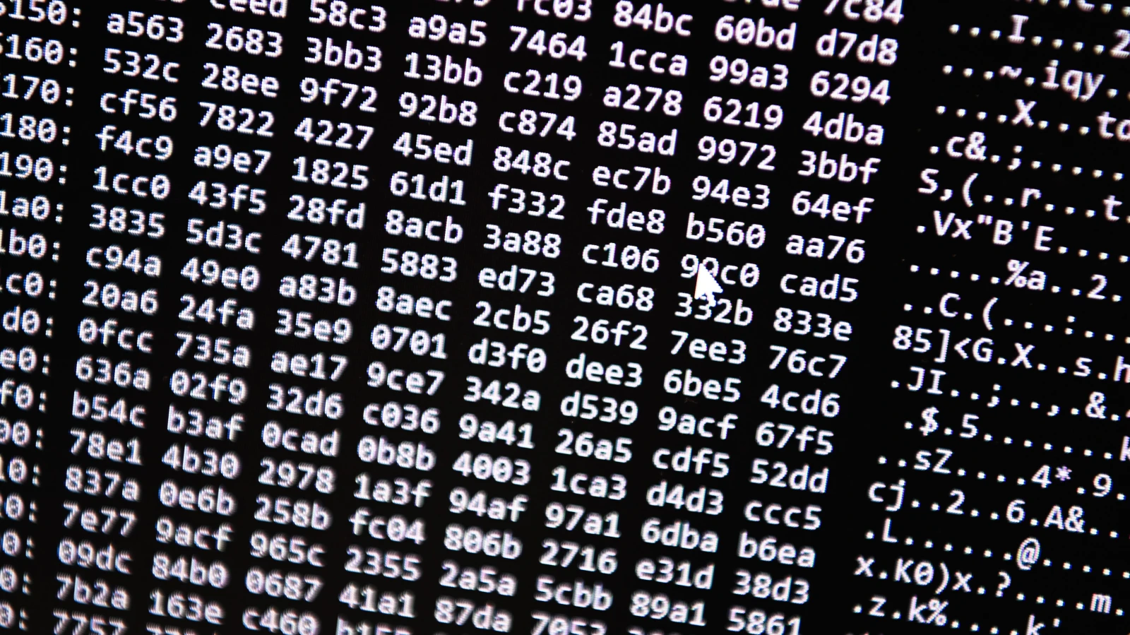 Rus Hackerler Bremer Web Sitelerine Saldırıyı Üstlendi!, © dpa Rus Hackerler Bremer Web Sitelerine Saldırıyı Üstlendi!, © dpa