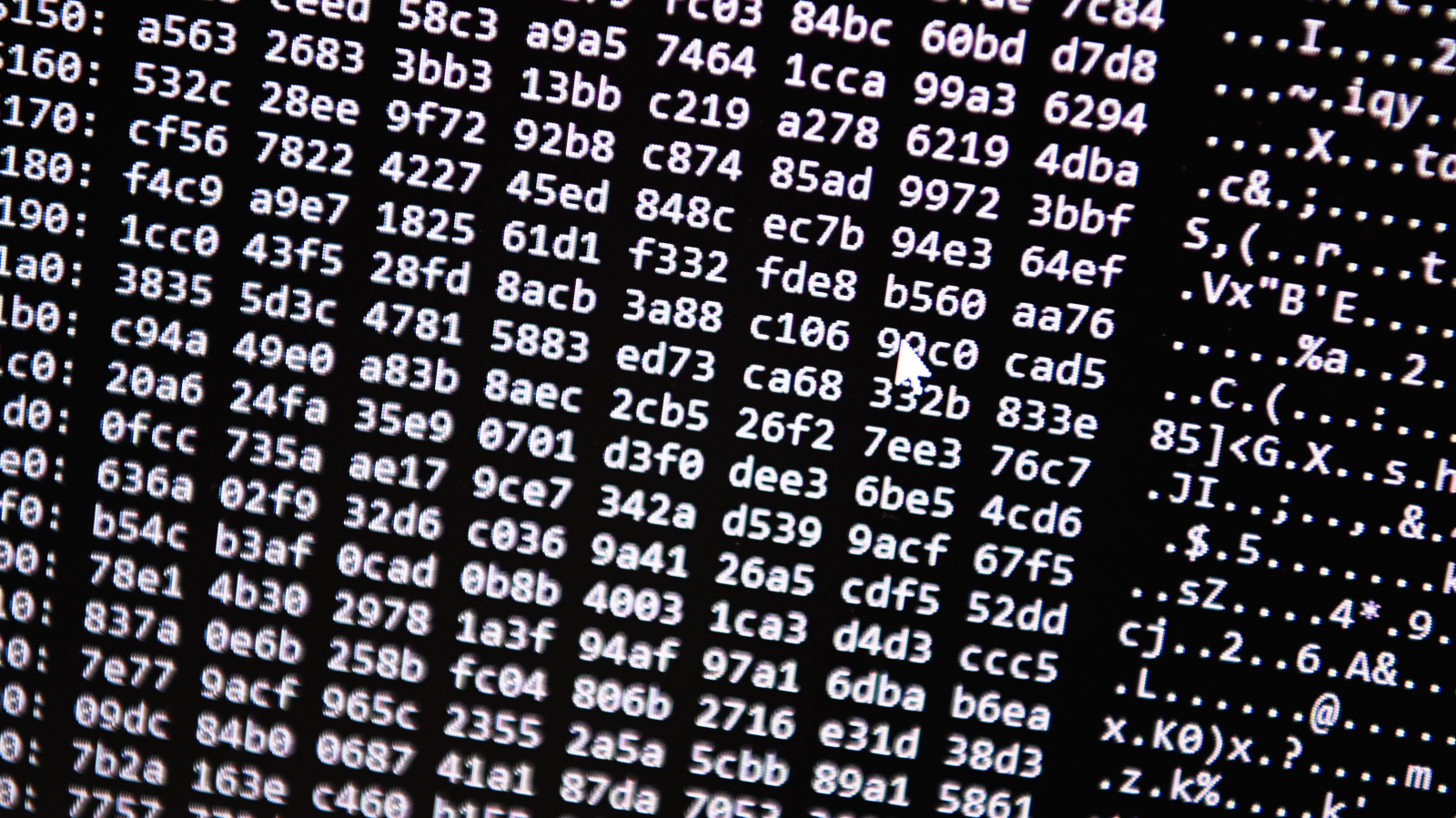 Rus Hackerler Bremer Web Sitelerine Saldırıyı Üstlendi!, © dpa