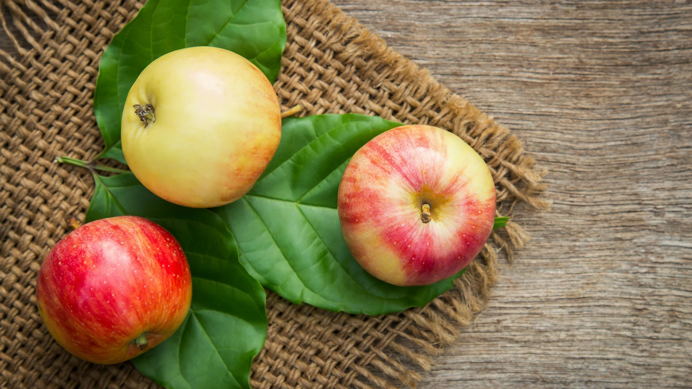 © Aphiwat chuangchoem © Aphiwat chuangchoem