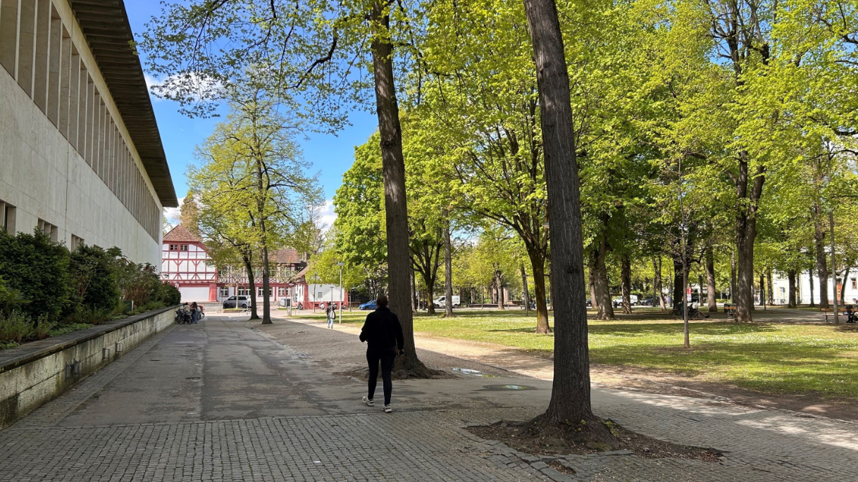 Basler Petersplatz wird saniert und grüner, © Radio Basilisk 