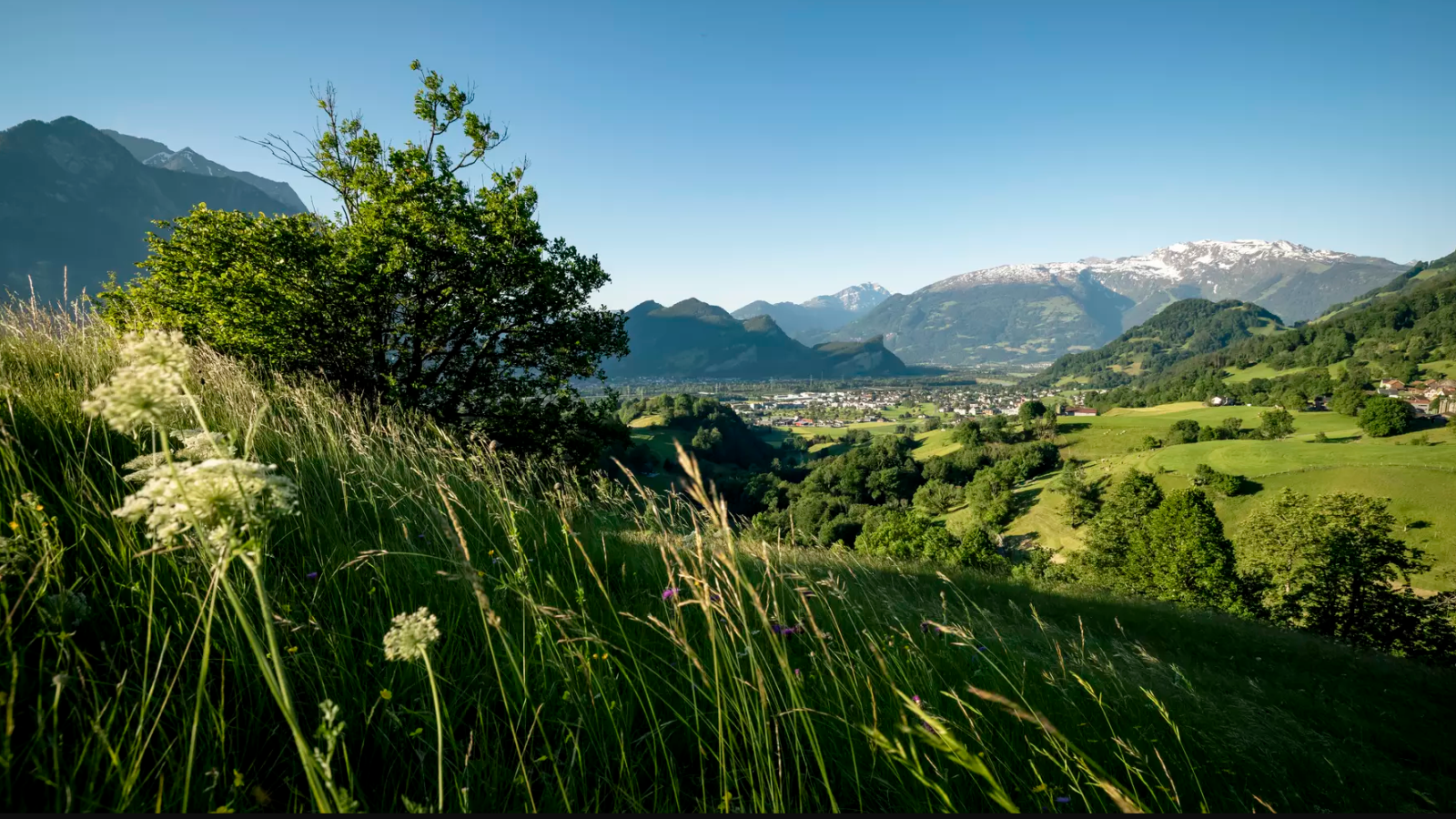 Mitwirkung zur Ortsplanung Wartau abgeschlossen, © Gemeinde Wartau