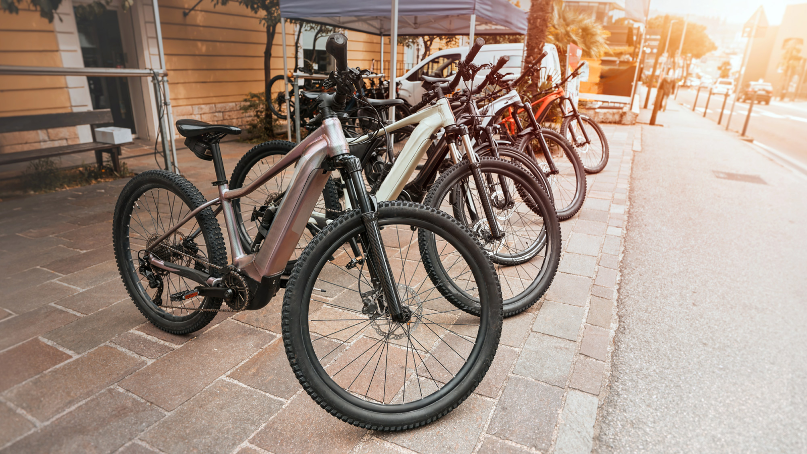 Der CARAVAN.fm Expertentalk: Kompakte E-Bikes, © Foto: alexgo.photography Shutterstock