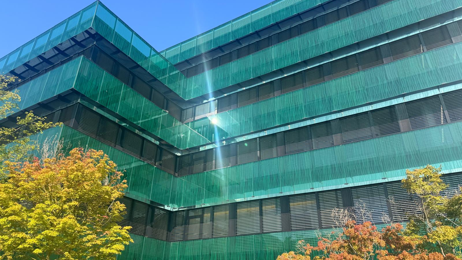 Für 28'500 Basler Kinder und Jugendliche beginnt das neue Schuljahr, © Radio Basilisk