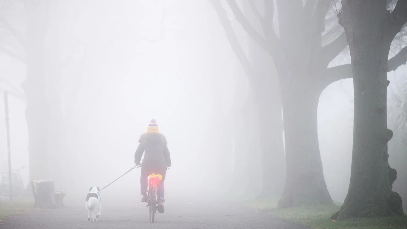 Sonbahar Yorgunluğu Neden Olur?, © Julian Stratenschulte/dpa Sonbahar Yorgunluğu Neden Olur?, © Julian Stratenschulte/dpa
