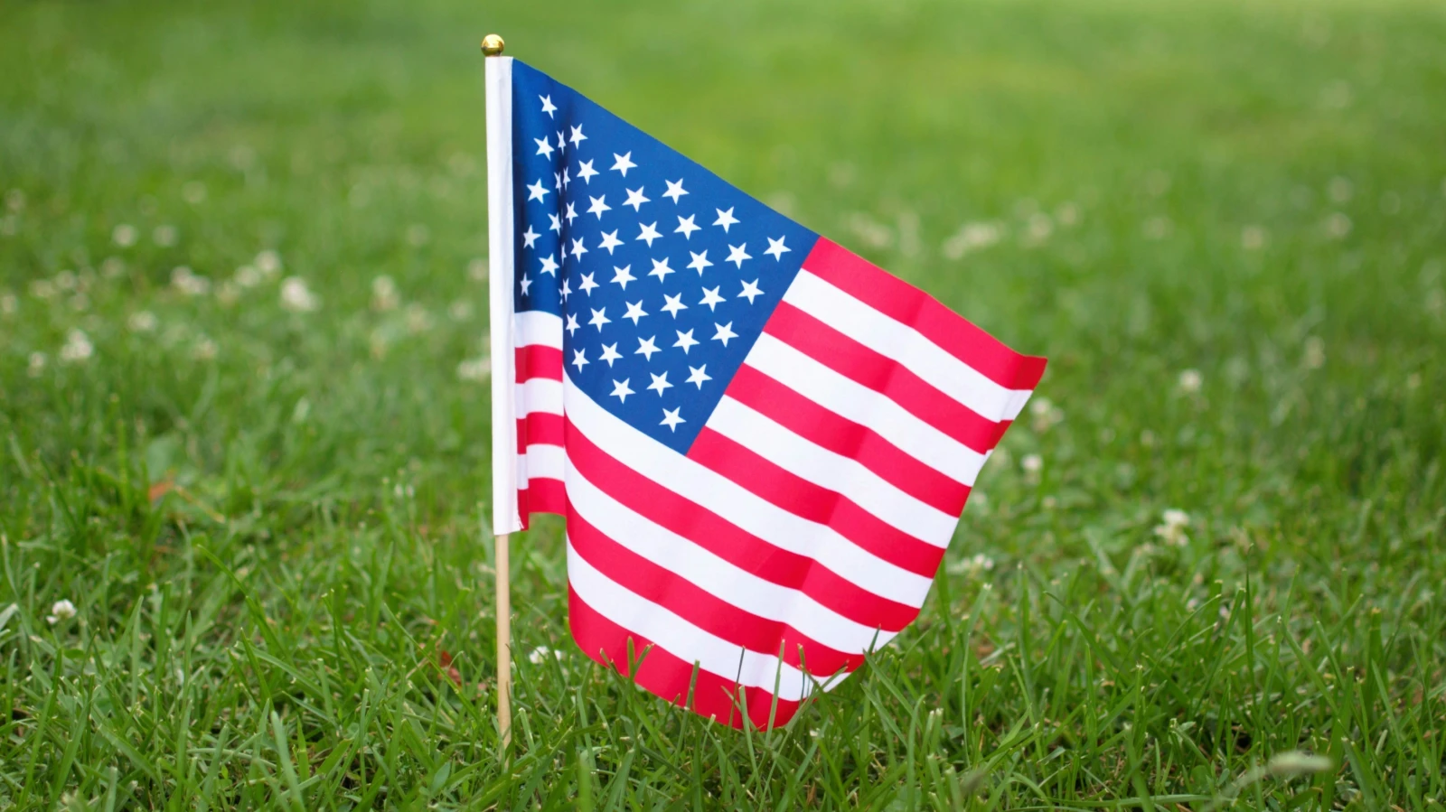 USA drohen Israel mit Kürzung von Militärhilfe, © Unsplash/Isabella Fischer USA drohen Israel mit Kürzung von Militärhilfe, © Unsplash/Isabella Fischer