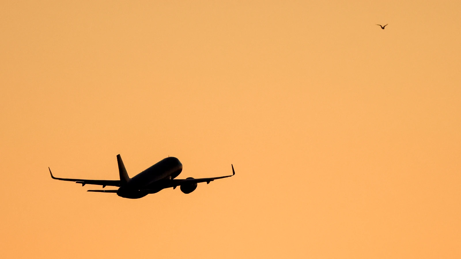 Tokyo’dan Kalkan Bir Uçak 14 Saat Uçuş Sonrası Geri Döndü!, © Jan Woitas/dpa Tokyo’dan Kalkan Bir Uçak 14 Saat Uçuş Sonrası Geri Döndü!, © Jan Woitas/dpa
