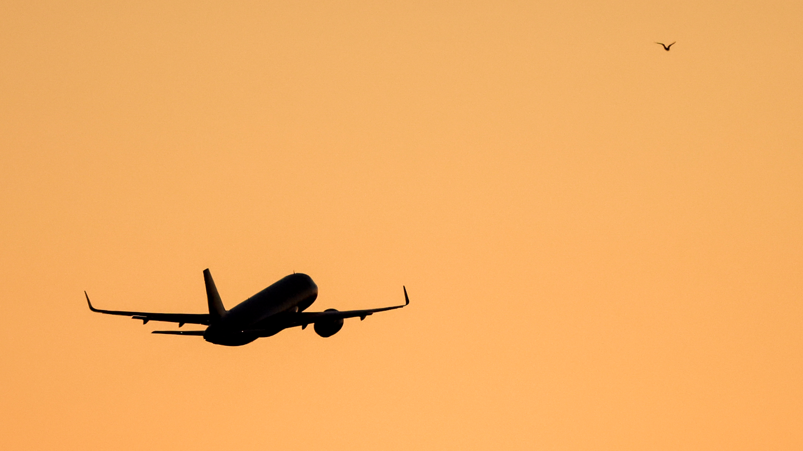 Tokyo’dan Kalkan Bir Uçak 14 Saat Uçuş Sonrası Geri Döndü!, © Jan Woitas/dpa
