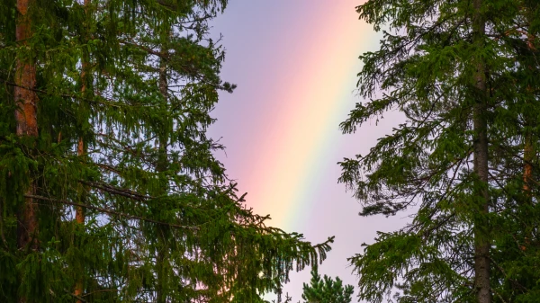 Hörbeispiel Radio Hamburg Wetter-Sponsoring, © Egor Kamelev Hörbeispiel Radio Hamburg Wetter-Sponsoring, © Egor Kamelev