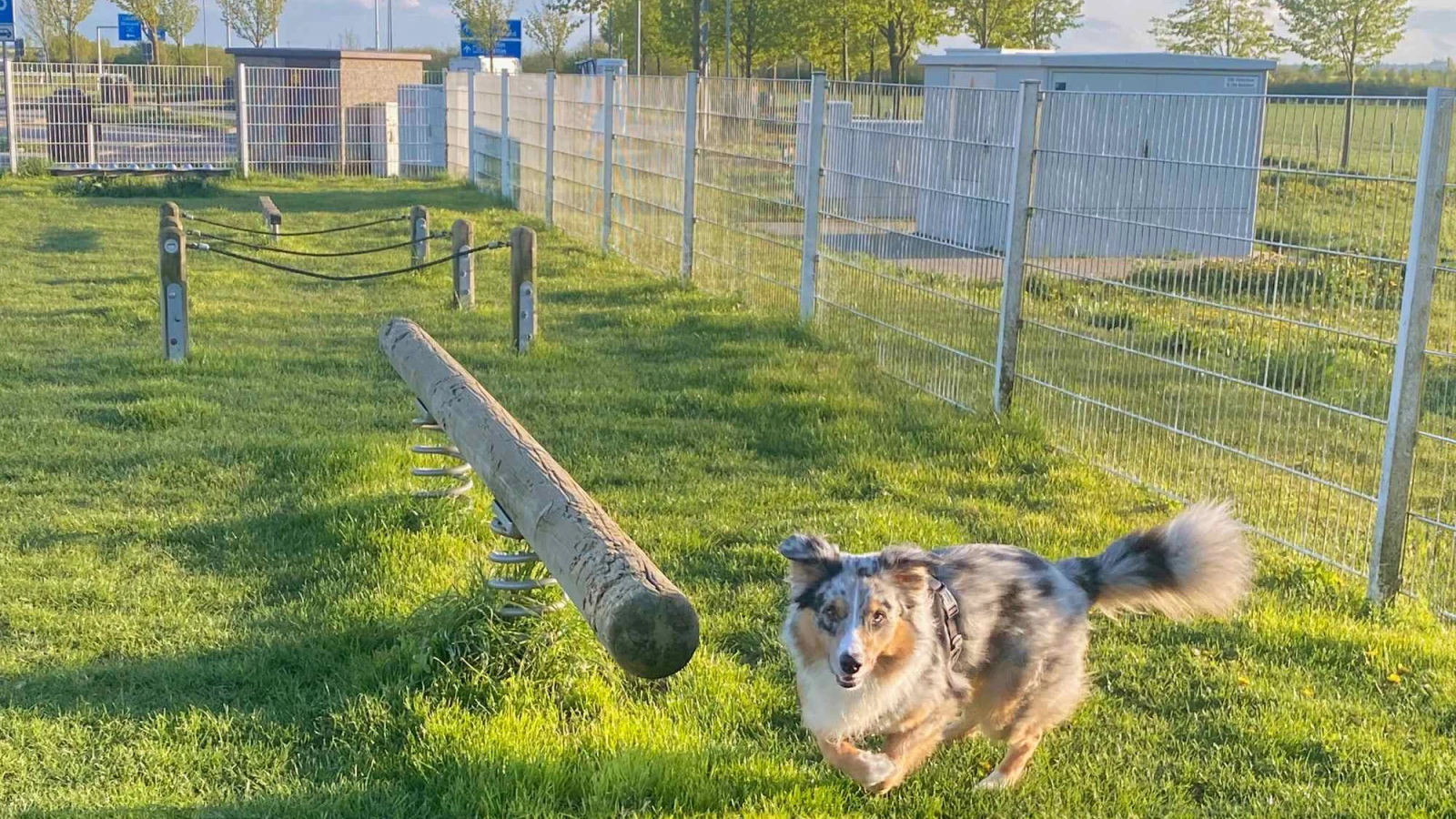 Hundewiesen an Rastanlagen vielfach unbekannt, © ADAC e.V. Hundewiesen an Rastanlagen vielfach unbekannt, © ADAC e.V.