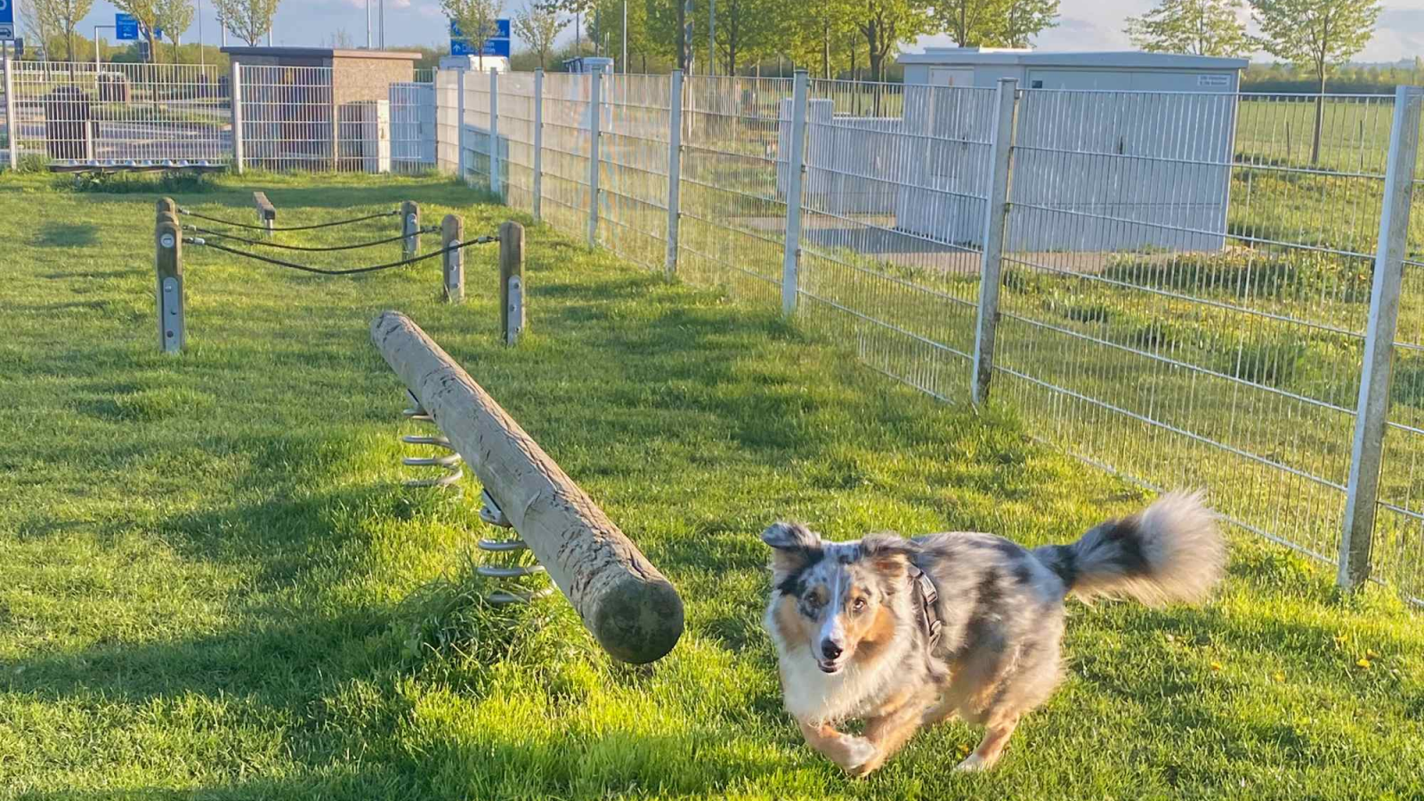 Hundewiesen an Rastanlagen vielfach unbekannt, © ADAC e.V.