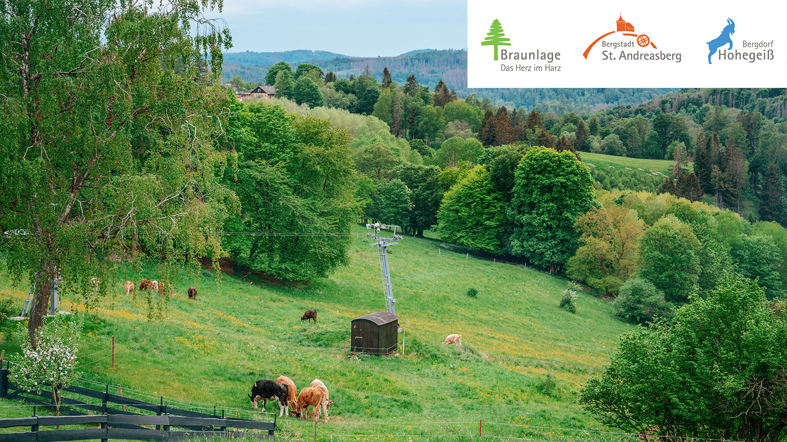 Familienspaß im Harz: Das erlebt ihr in Hohegeiß, © Hohegeiß