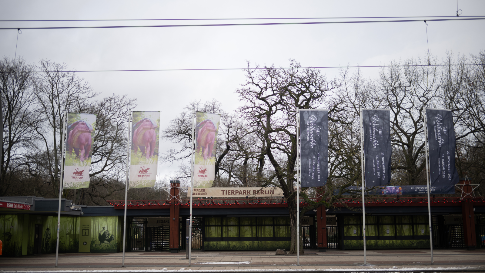 Brandenburg’da Şap hastalığı: Berlin’de Zoo ve Tierpark Kapalı!, © dpa