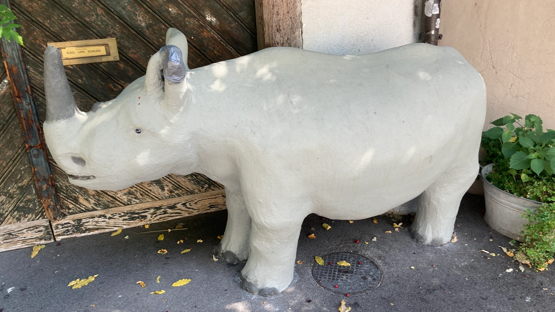 © Radio Basilisk © Radio Basilisk