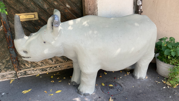 Das Nashorn am Heuberg , © Radio Basilisk