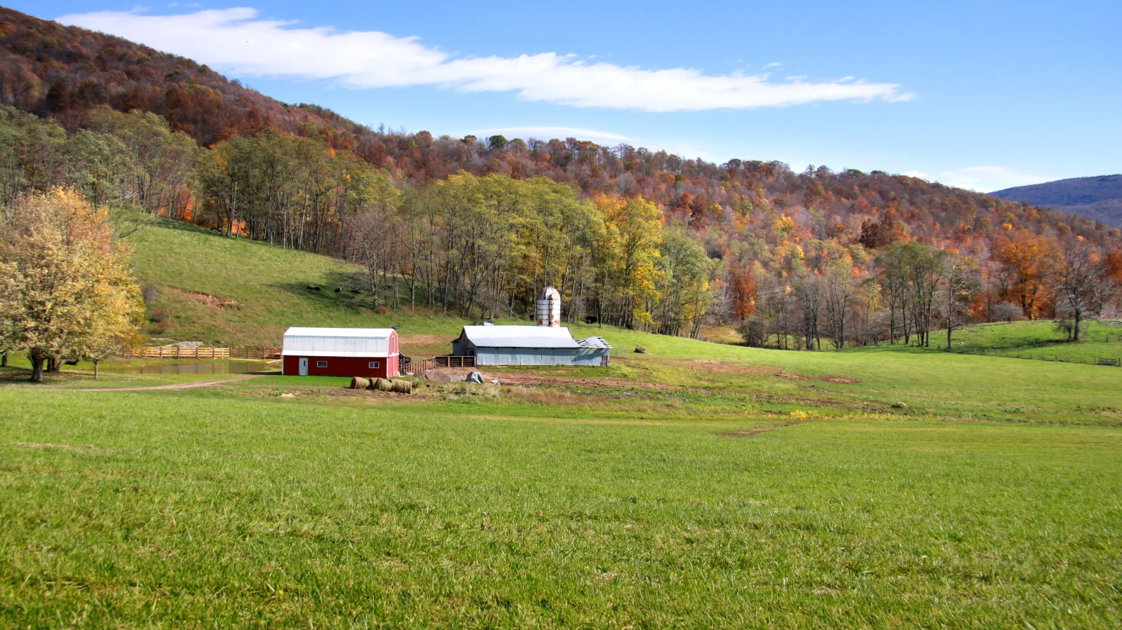 Biotop- und Steilflächenprämien in Vorarlberg für Kleinstbewirtschafter, © Depositfotos / Symbolbild / Kleinbauern Biotop- und Steilflächenprämien in Vorarlberg für Kleinstbewirtschafter, © Depositfotos / Symbolbild / Kleinbauern