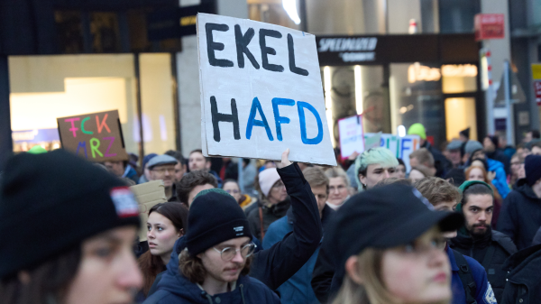 🎧Almanya'da Rechtsextreme Partiler Neden Yükseliyor?, © Georg Wendt/dpa