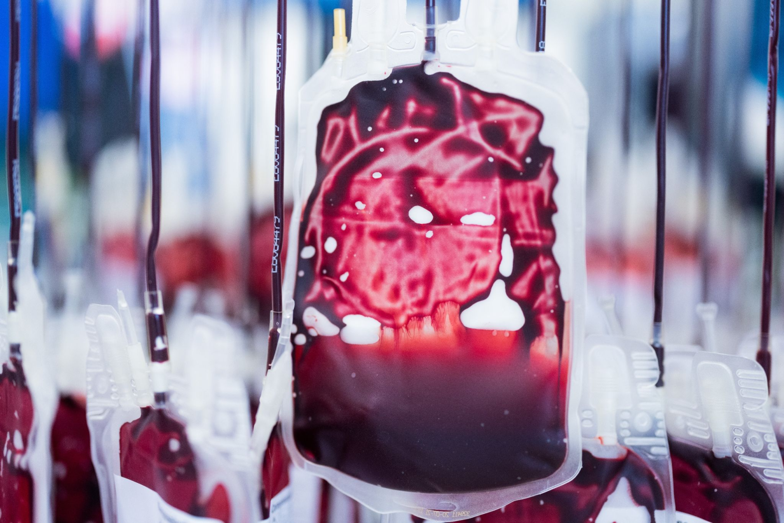 Blutkonserven hängen im Labor eines Blutspendedienstes.