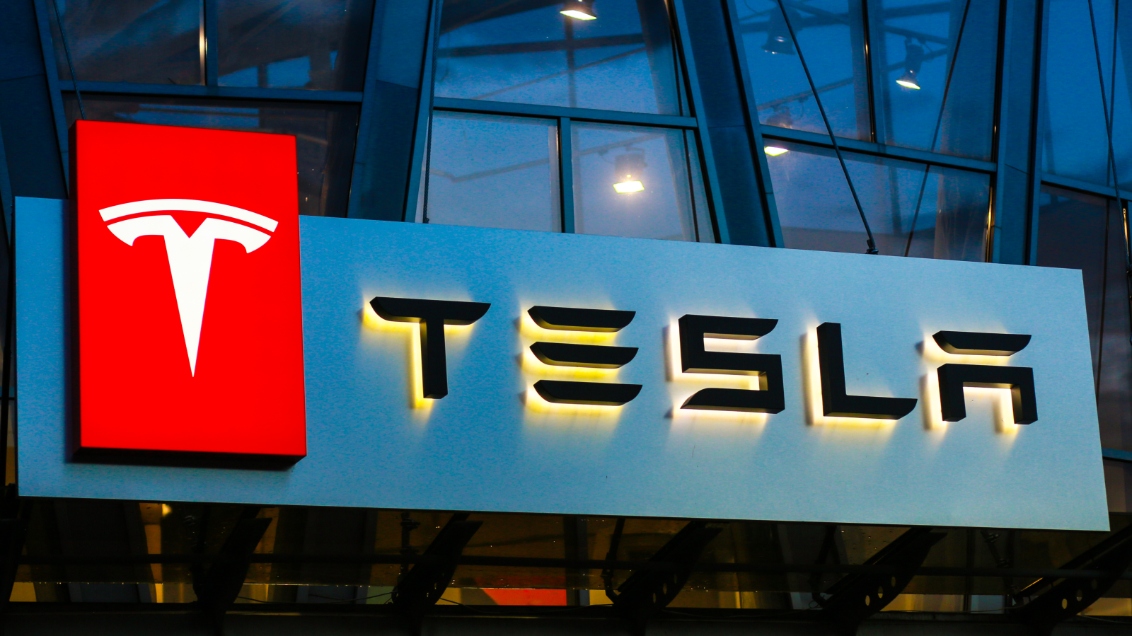 Grünheide halkı Tesla için orman kesilmesine karşı çıktı!, © shutterstock