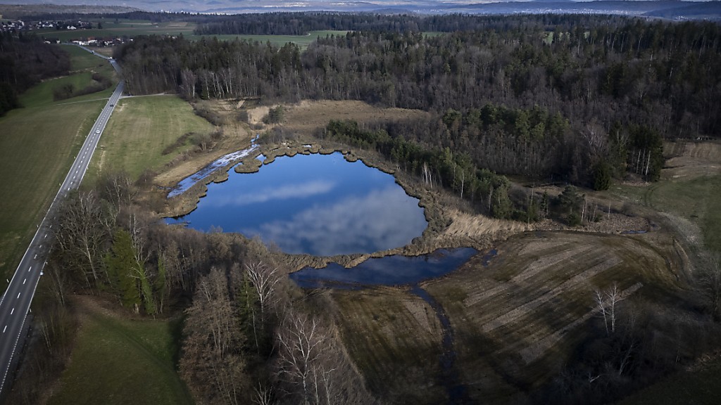 Beschuldigter in "Cold Case" Frauenfeld weist jede Schuld von sich, © Keystone / SDA