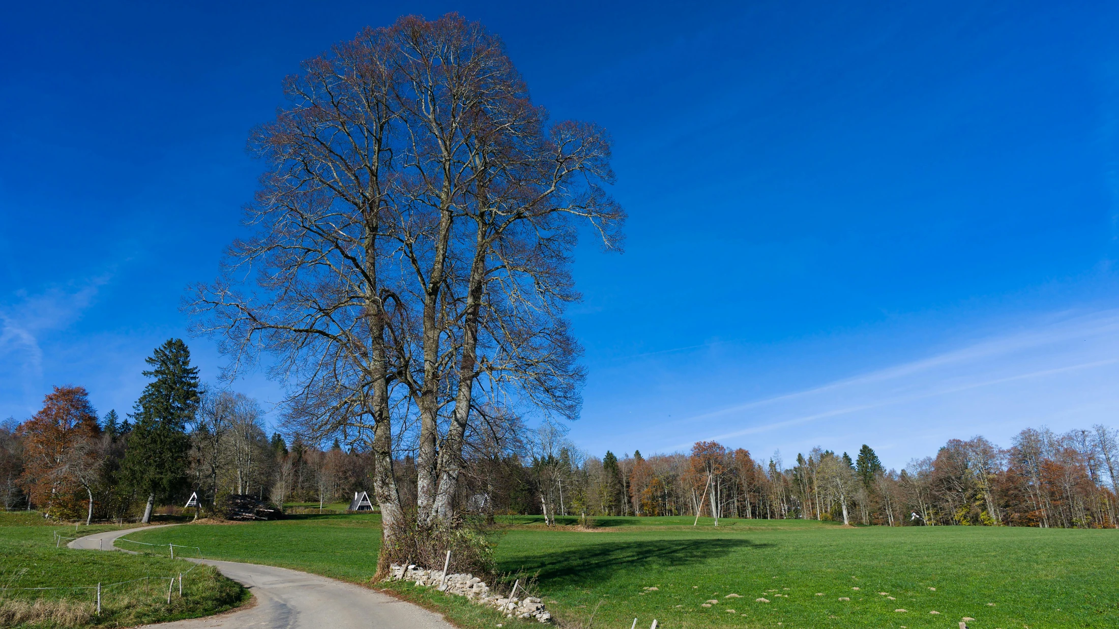 © Jean-Paul Wettstein © Jean-Paul Wettstein