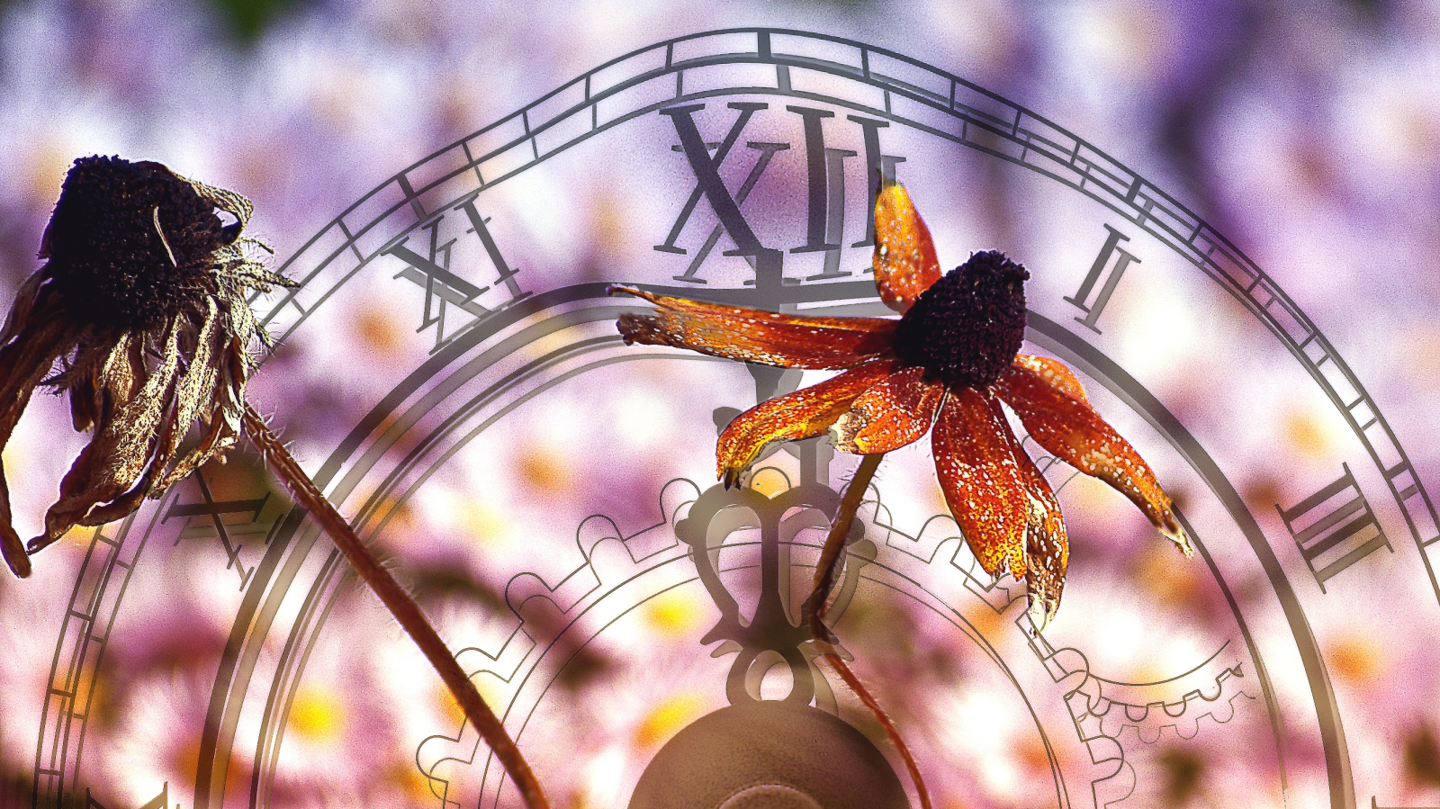 Schweizer werfen einen pessimistischen Blick auf das kommende Jahr. , © Symbolbild / PXHERE