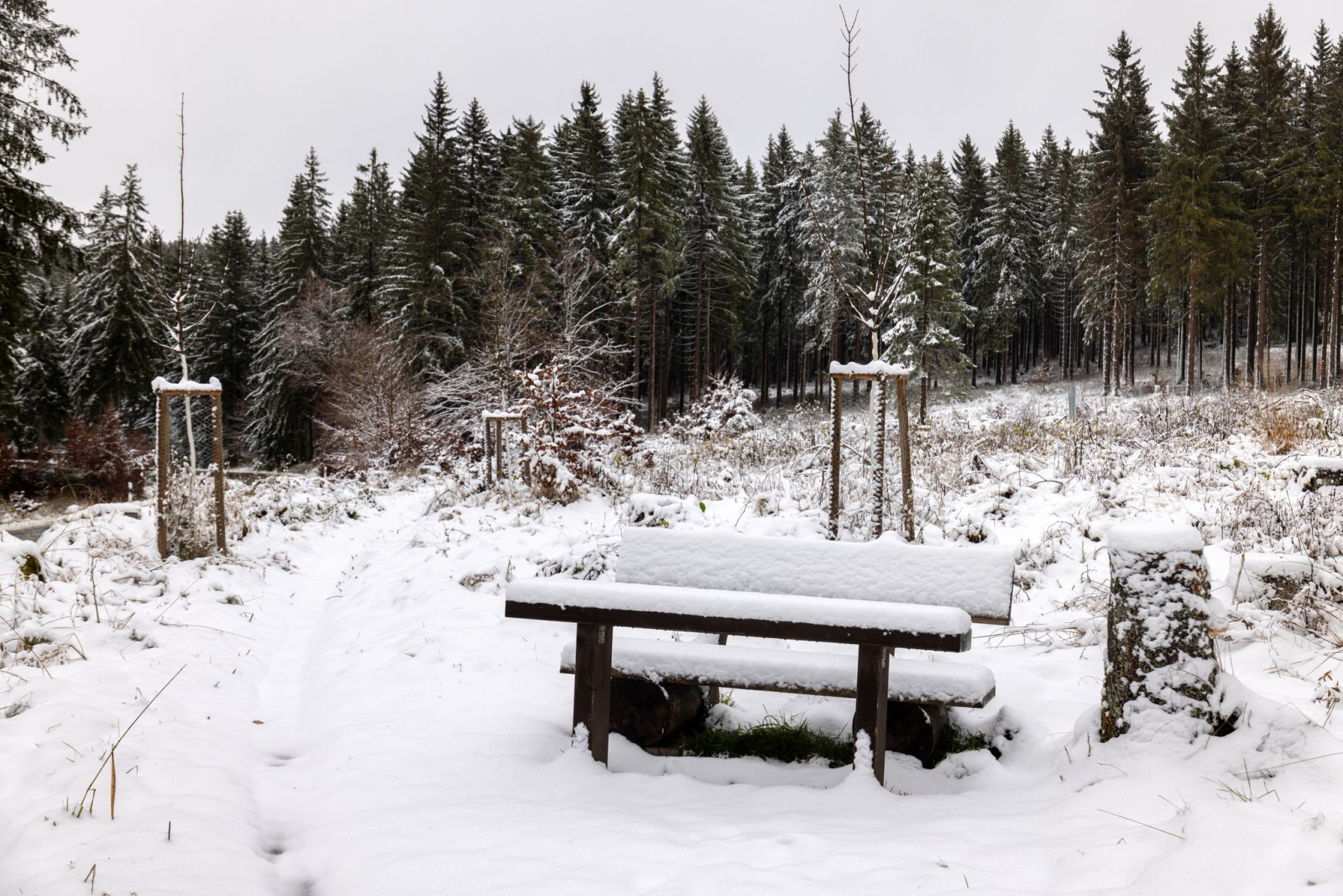 Langlauf auf Naturschnee ist weiter nicht möglich. (Symbolfoto), © Michael Reichel/dpa