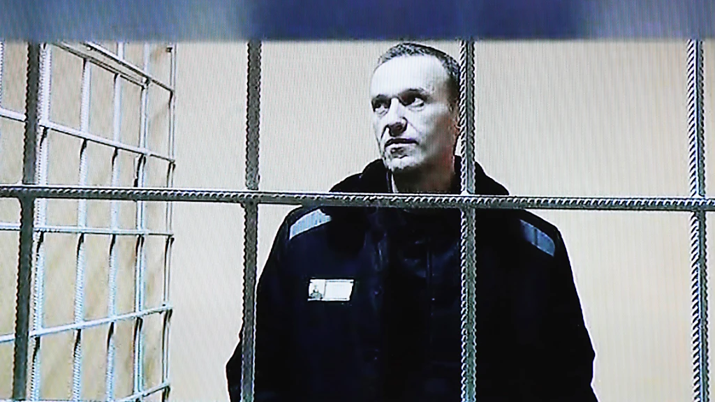 Nawalny meldet sich: "Mir geht es gut", © Evgeny Feldman/Meduza/AP/dpa Nawalny meldet sich: "Mir geht es gut", © Evgeny Feldman/Meduza/AP/dpa