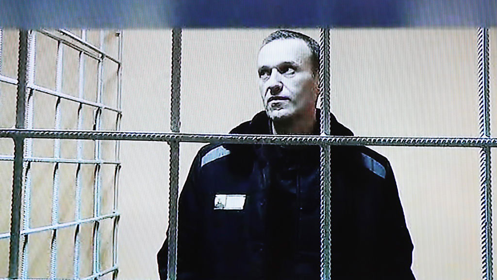 Nawalny meldet sich: "Mir geht es gut", © Evgeny Feldman/Meduza/AP/dpa