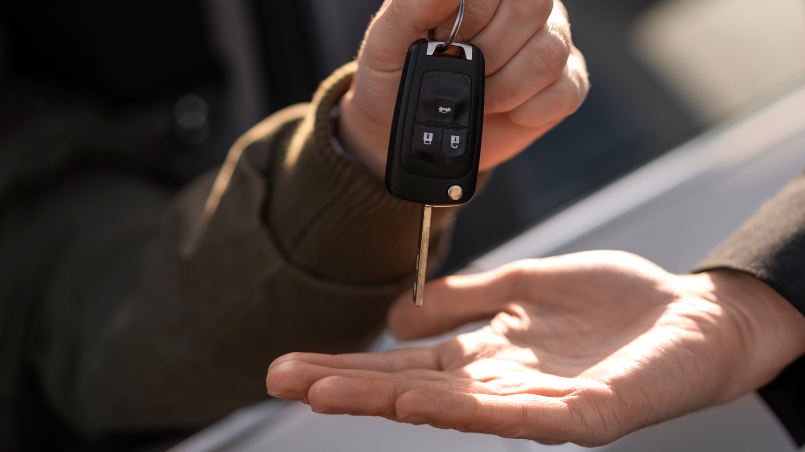 Fraktion im EU-Parlament will Verbrenner-Aus umkehren, © Freepik