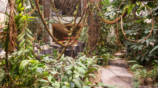 Die Pflanzenwelt in den Terrarien des Basler Zolli, © Zoo Basel