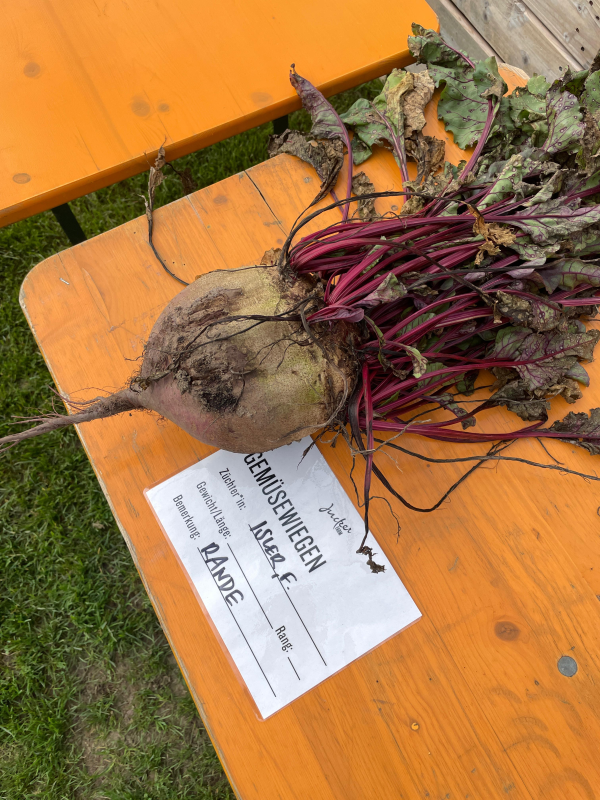 Kürbismeisterschaft 2023, © ZVG