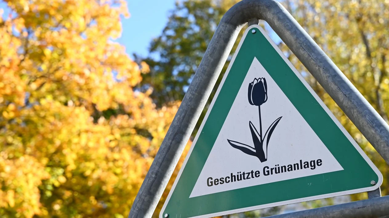 Berlin’de Tarihi Oylama: “Bir Milyon Ağaç Yasası” Mecliste!, © Elisa Schu/dpa Berlin’de Tarihi Oylama: “Bir Milyon Ağaç Yasası” Mecliste!, © Elisa Schu/dpa