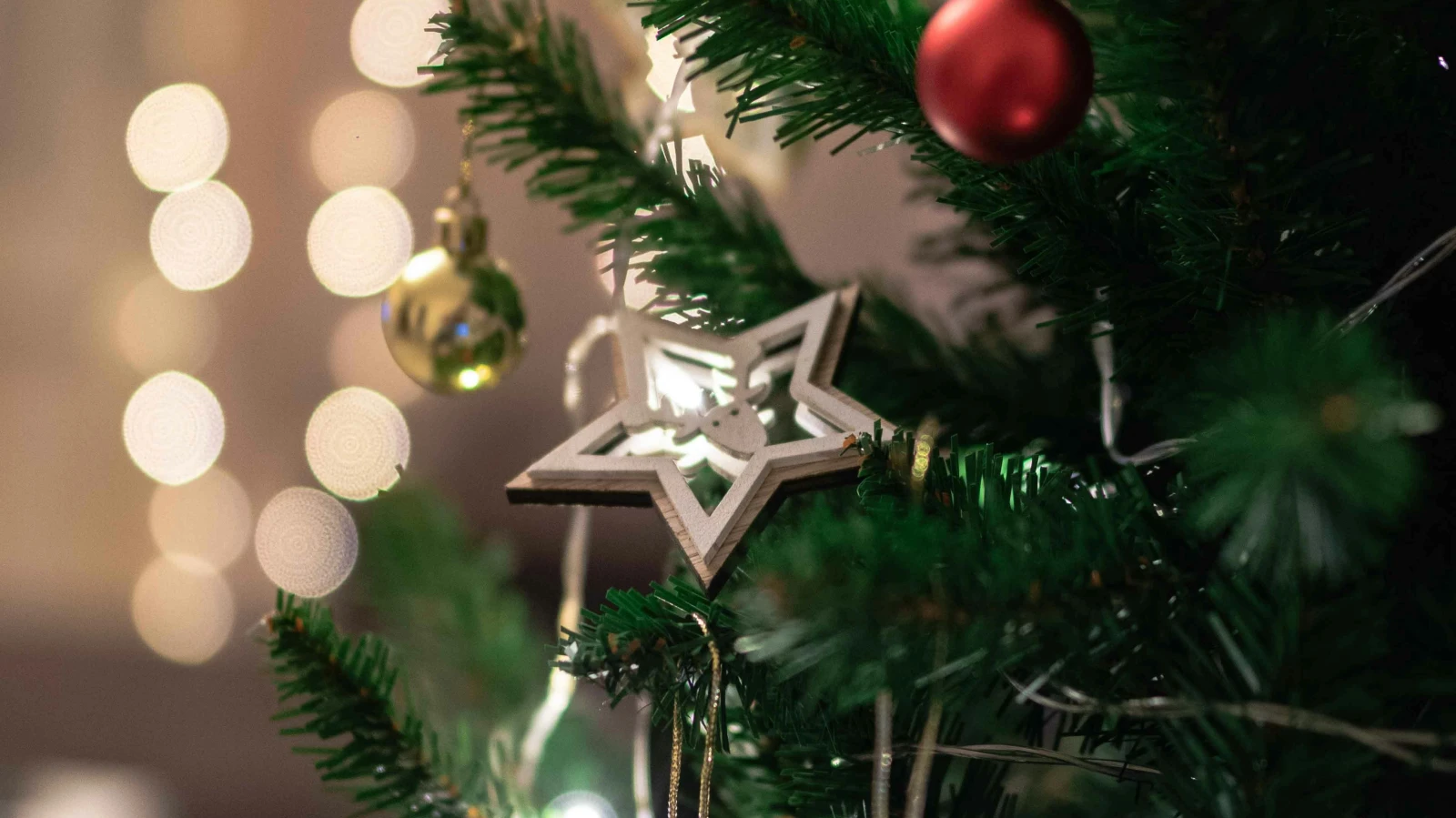 Gewinnen Sie den «letzten» Weihnachtsbaum der Region, © Gantas Vaičiulėnas Gewinnen Sie den «letzten» Weihnachtsbaum der Region, © Gantas Vaičiulėnas