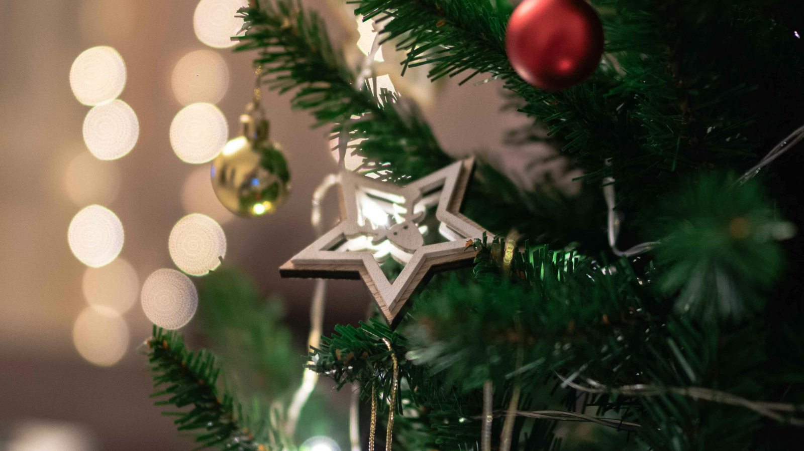 Gewinnen Sie den «letzten» Weihnachtsbaum der Region, © Gantas Vaičiulėnas