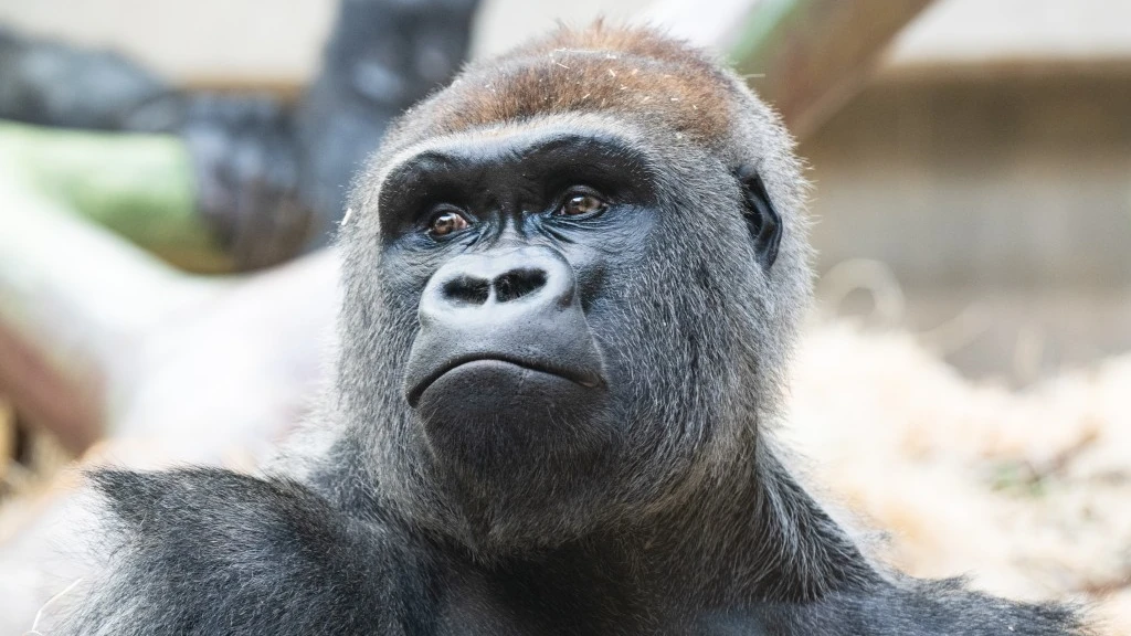 © Zoo Basel © Zoo Basel