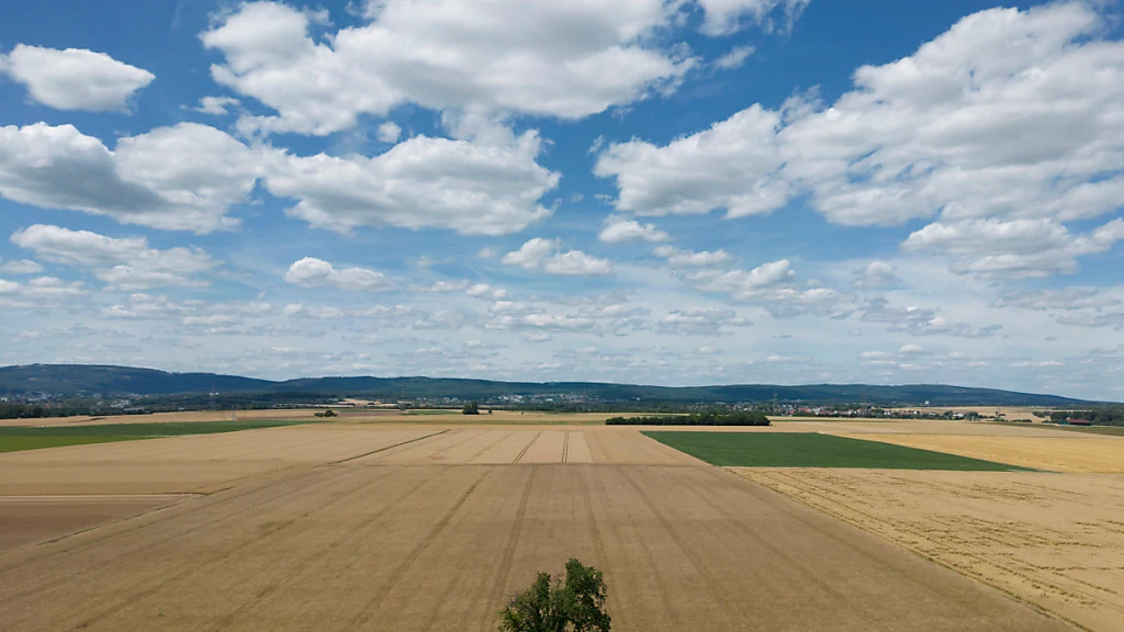 Schweizer Landwirtschaft litt 2023 unter schwierigem Wetter, © Symbolbild Schweizer Landwirtschaft litt 2023 unter schwierigem Wetter, © Symbolbild