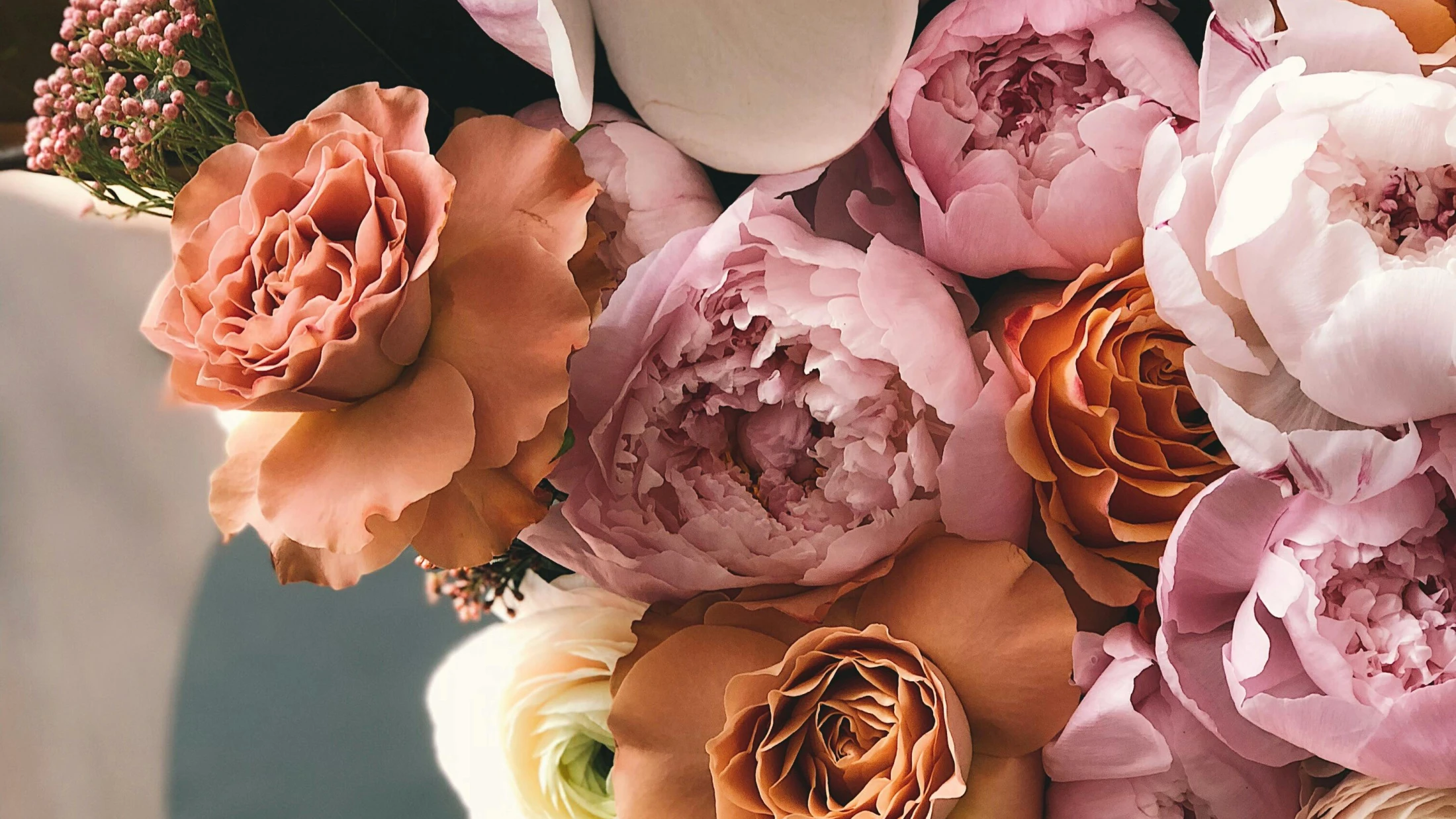 © Secret Garden © Secret Garden