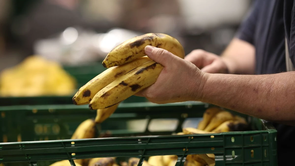Batı Pfalz’da Tafellere Talep Artıyor: En Çok Yaşlılar Zorlanıyor, © Matthias Bein/dpa Batı Pfalz’da Tafellere Talep Artıyor: En Çok Yaşlılar Zorlanıyor, © Matthias Bein/dpa