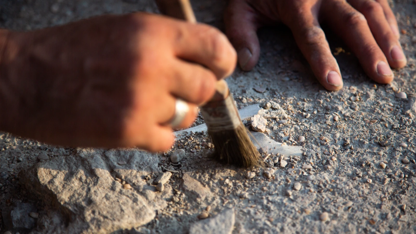 Mainz ve Freiburg Arkeologları İtalya’da 2500 Yıllık Antik Heykel Başı Ortaya Çıkardı, © shutterstock Mainz ve Freiburg Arkeologları İtalya’da 2500 Yıllık Antik Heykel Başı Ortaya Çıkardı, © shutterstock