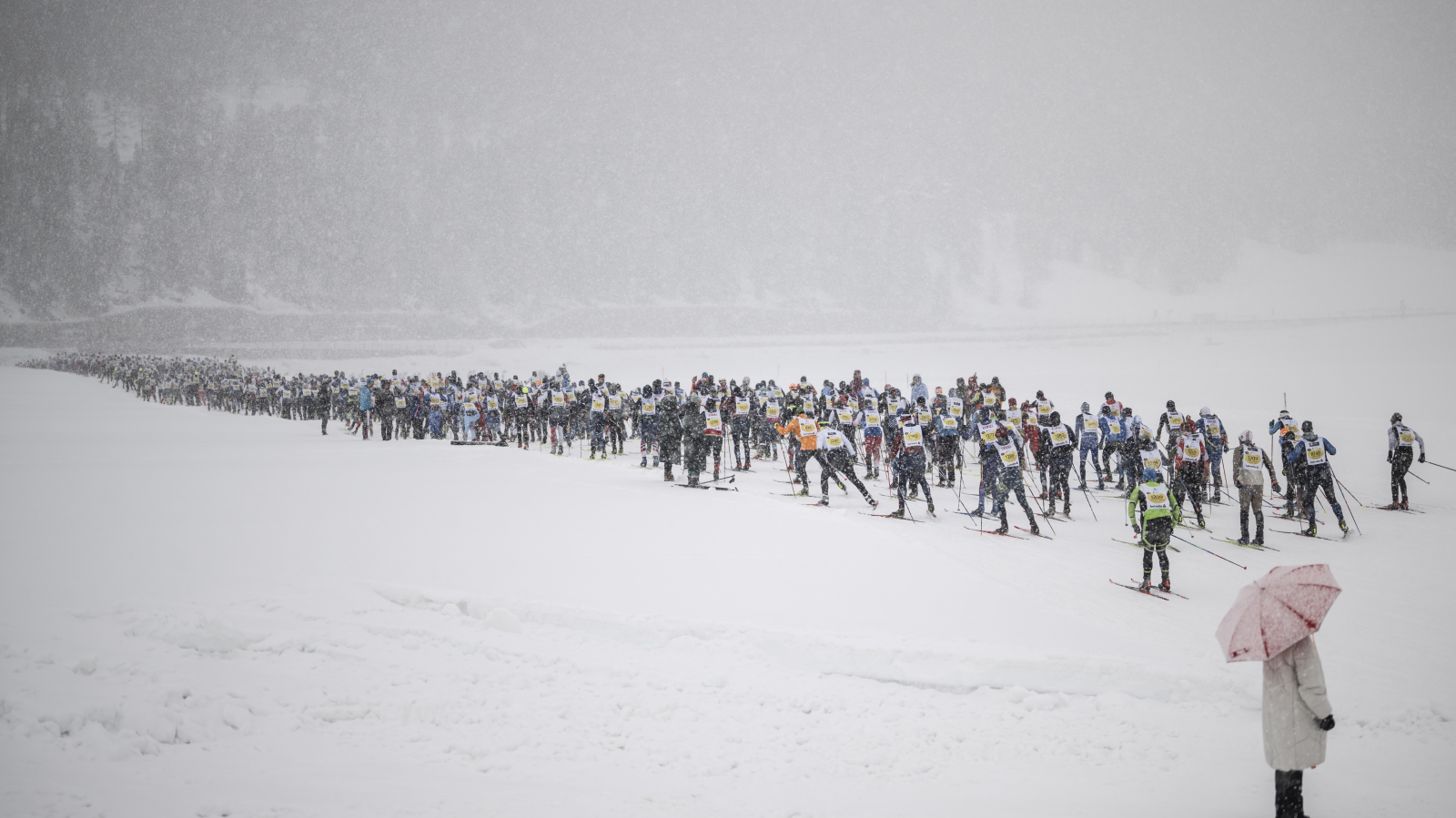 Norweger dominieren beim Engadiner Skimarathon, © Keystone