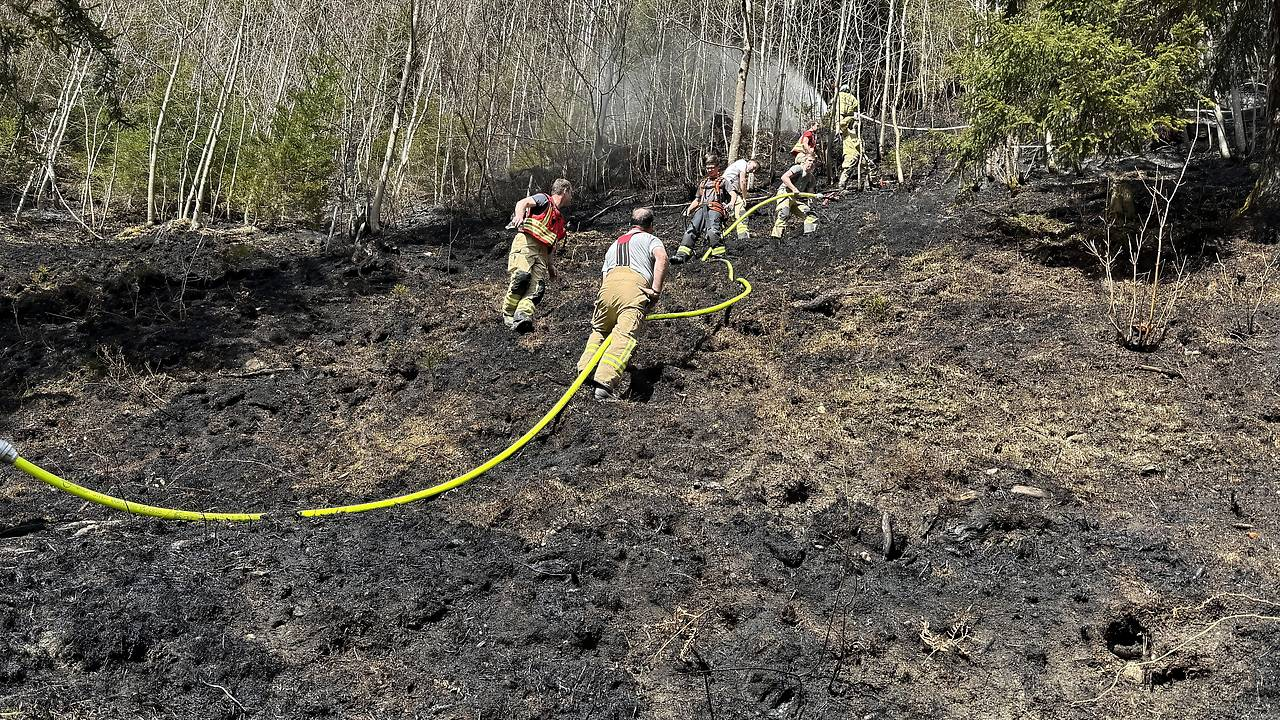 Waldbrand auf der Kobelalpe in Dornbirn, © ORF / Maurice Shourot