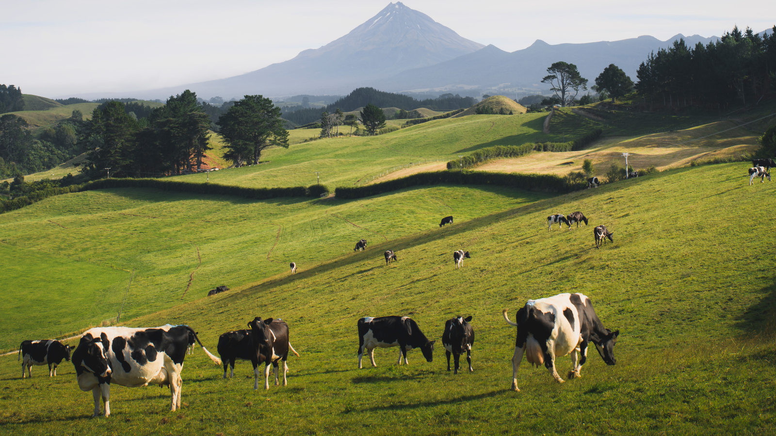 Bauernverband überreicht Petition gegen Sparprogramm des Bundes, © rawpixel.com/Freepik