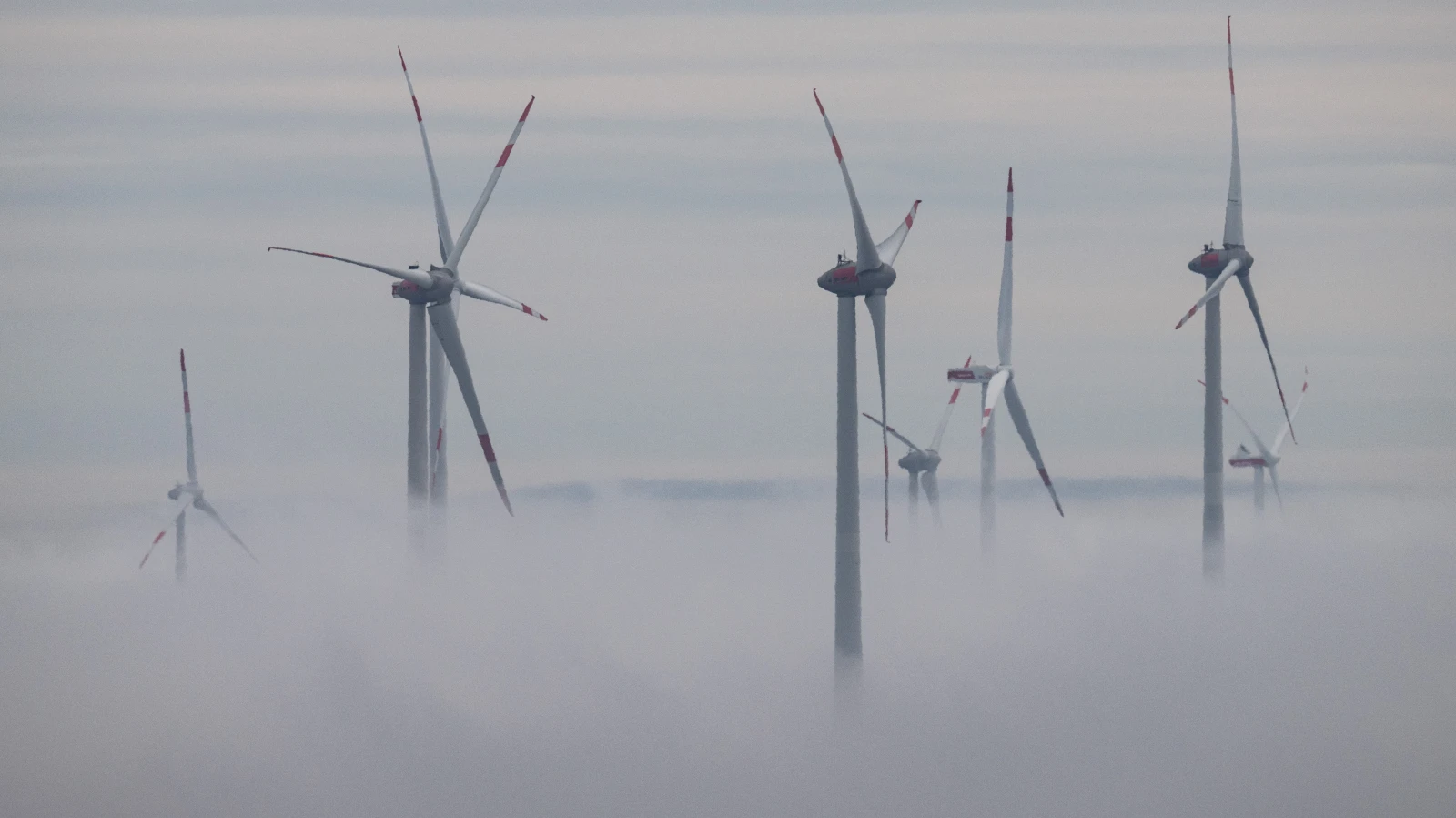 Dirmstein’de Rüzgâr Türbinleri Tartışması – AfD Gerginliği Artırıyor, © Boris Roessler/dpa Dirmstein’de Rüzgâr Türbinleri Tartışması – AfD Gerginliği Artırıyor, © Boris Roessler/dpa