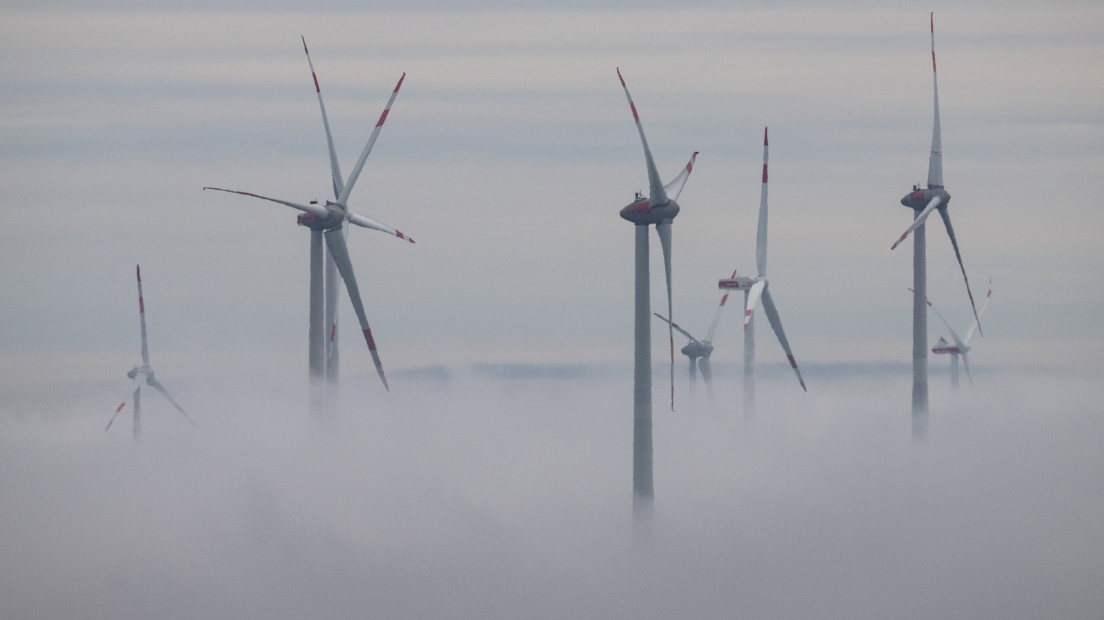 Dirmstein’de Rüzgâr Türbinleri Tartışması – AfD Gerginliği Artırıyor, © Boris Roessler/dpa