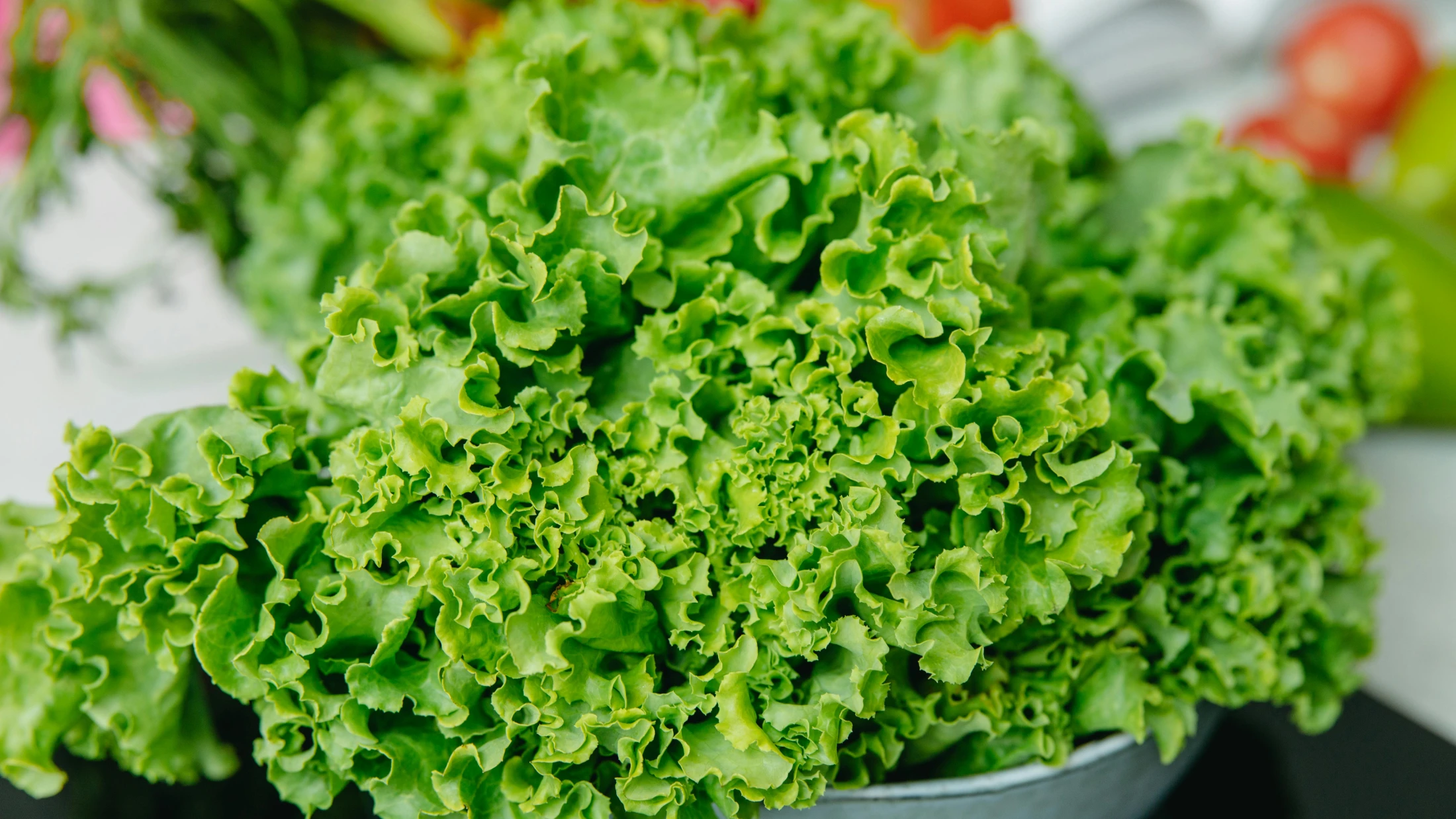 © Yaroslav Shuraev © Yaroslav Shuraev