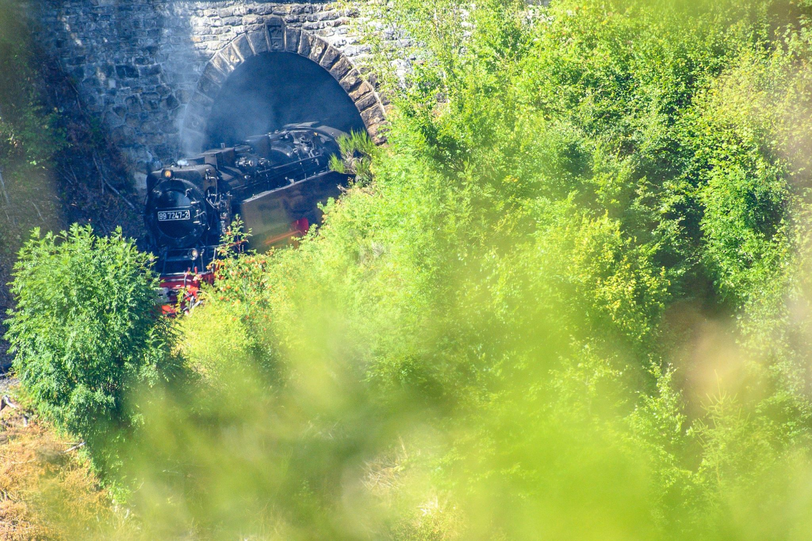Ein Zug der Harzer Schmalspurbahnen (HSB) kommt aus einem Tunnel gefahren.
