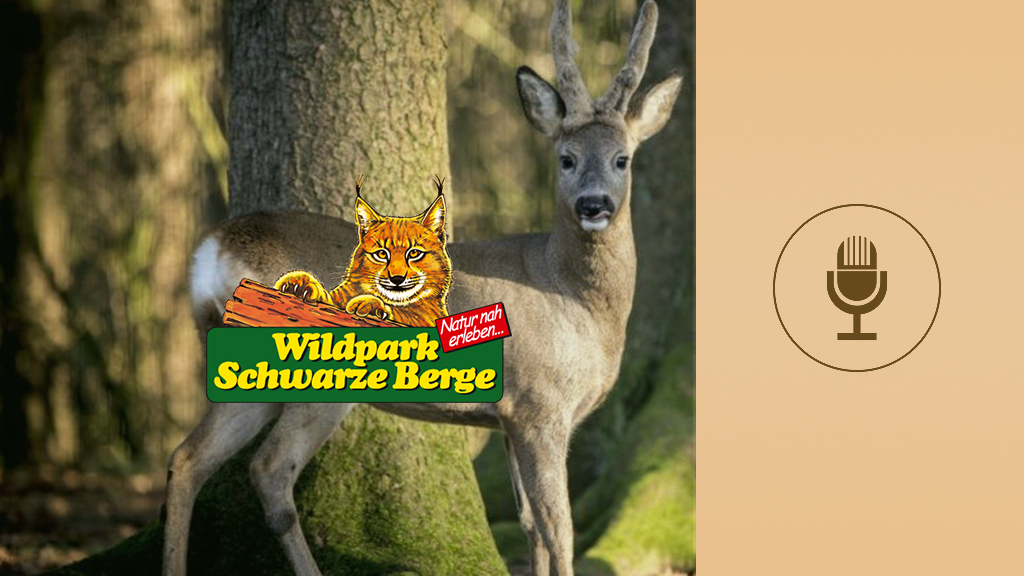 Spot des Monats Juli 2026: "Richtig swipen" vom Wildpark Schwarze Berge, © more Marketing