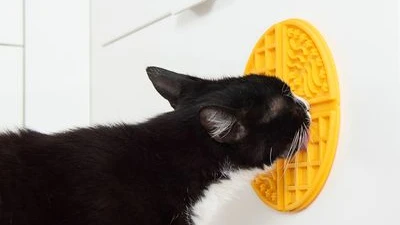 © Zooplus © Zooplus